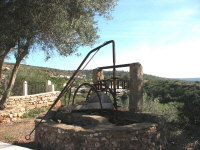 eine alte Nora am Strassenrand