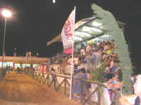 Trib&uuml;hne f&uuml;r Tiershows