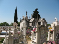 Der Friedhof - einen besinnlichen Besuch wert