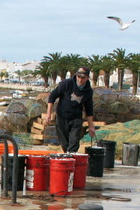 Arbeit macht auch sonntags Spass