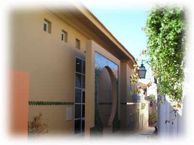 Arch&auml;ologisches Museum